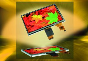 IPS Graphic displays, color, TFT, wide viewing angle