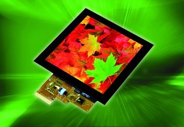 Extra-bright display provides a high-contrast image